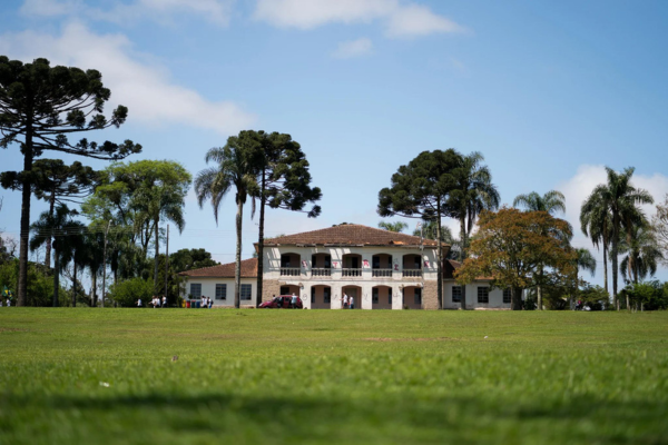 Parque Newton Puppi 