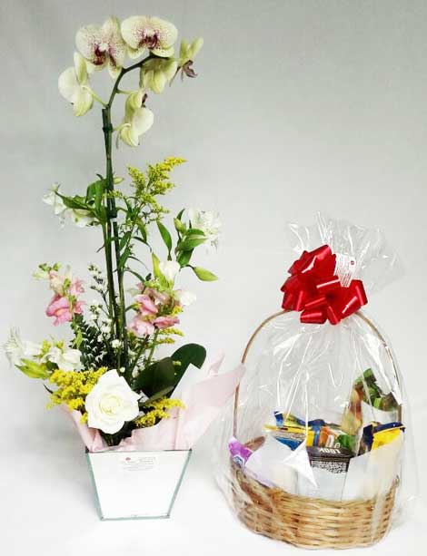 Floricultura Chafariz